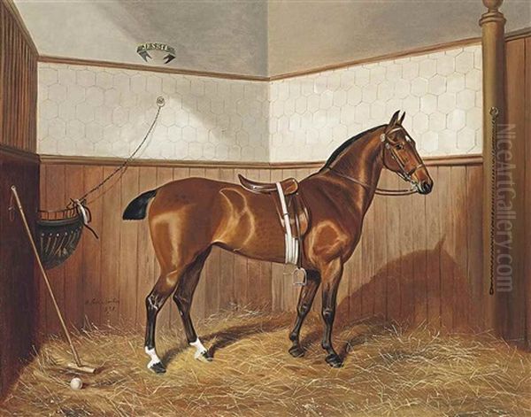 Jessie The Polo Pony Oil Painting by Benjamin Cam Norton