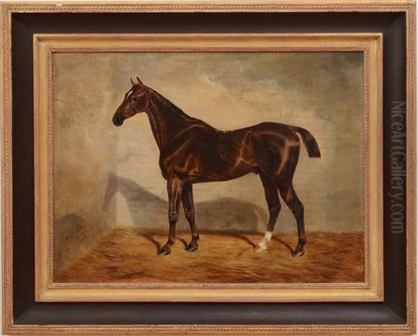 A Bay Racehorse In Loose Box Oil Painting by Benjamin Cam Norton