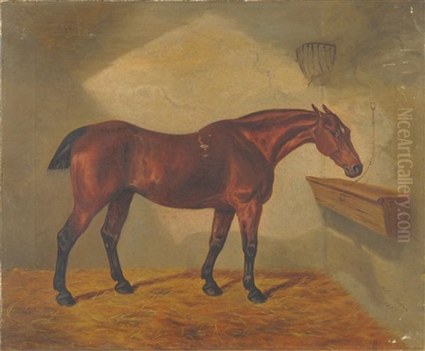 Racehorse In A Loose Box Oil Painting by Benjamin Cam Norton