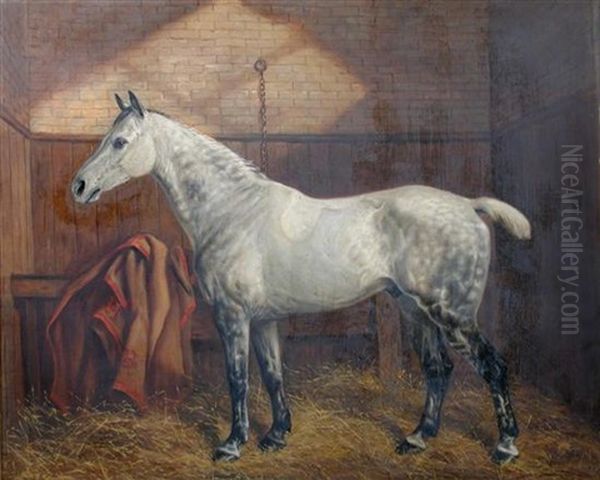 A Dappled Gray Hunter In The Stables At Westacre, Norfolk Oil Painting by Benjamin Cam Norton