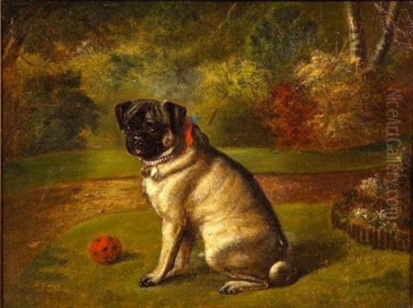 Pug With A Red Ball Oil Painting by Benjamin Cam Norton