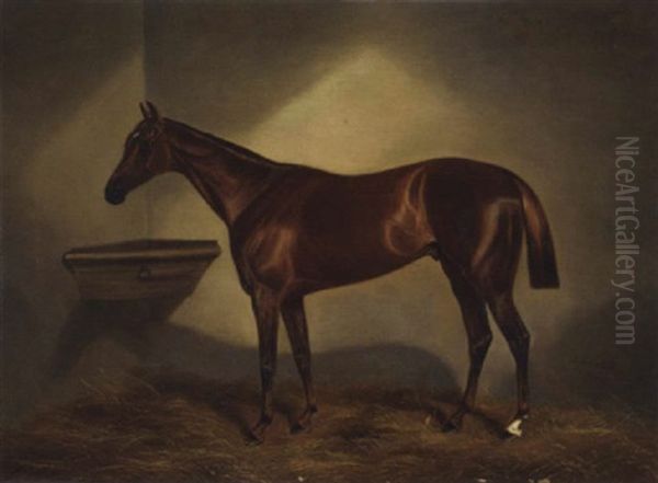 A Chestunt Racehorse In A Stable Oil Painting by Benjamin Cam Norton