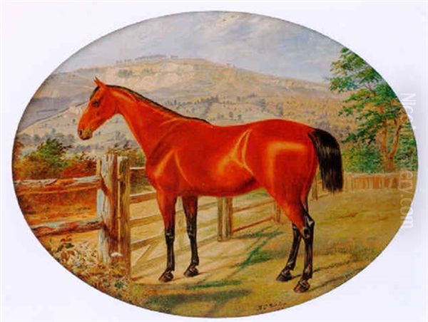 A Chestnut Hunter Standing By A Gate Oil Painting by Benjamin Cam Norton