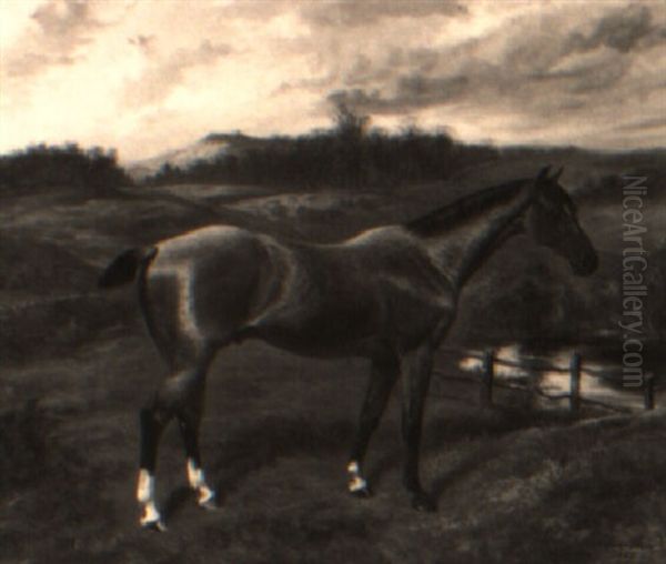 A Strawberry Roan In A Landscape Oil Painting by Benjamin Cam Norton