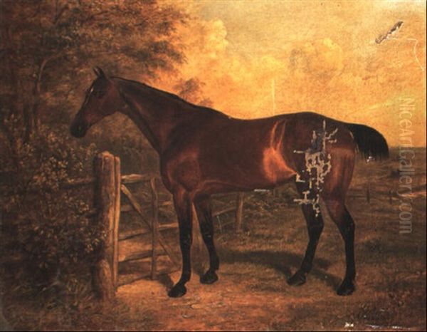 Study Of A Dark Bay Horse In A Landscape Oil Painting by Benjamin Cam Norton