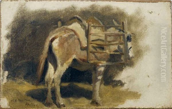 Donkey (study) Oil Painting by William Edward Norton