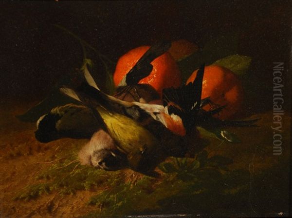 Oiseaux Et Oranges Oil Painting by David Emile Joseph de Noter