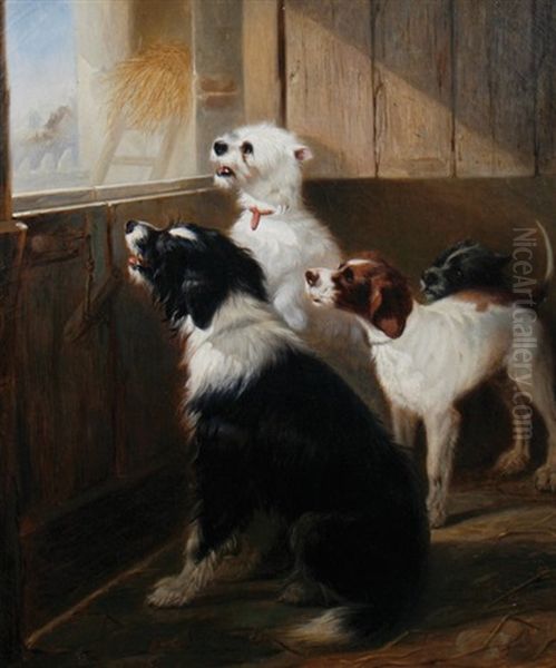 Terriers In A Stable Oil Painting by Zacharias Noterman