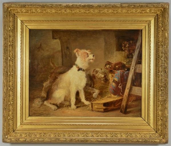 Large Interior Barn Scene Of Two Terriers With A Cat Oil Painting by Zacharias Noterman