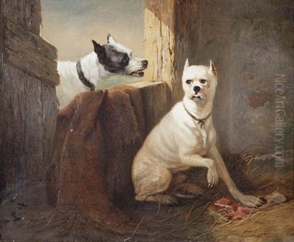 Deux Chiens Oil Painting by Zacharias Noterman