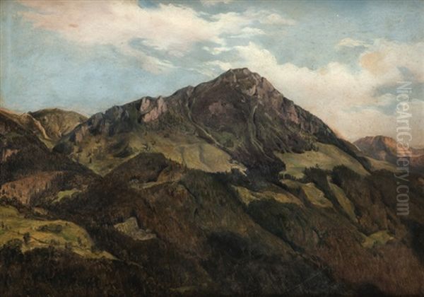 Alpska Krajina Oil Painting by Johann Novopacky