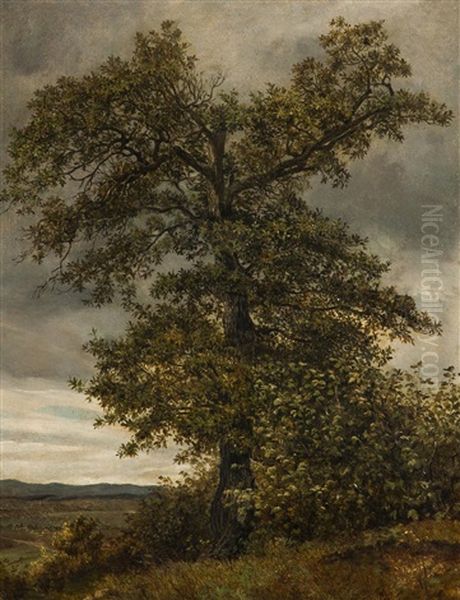 Baum In Der Landschaft Oil Painting by Johann Novopacky