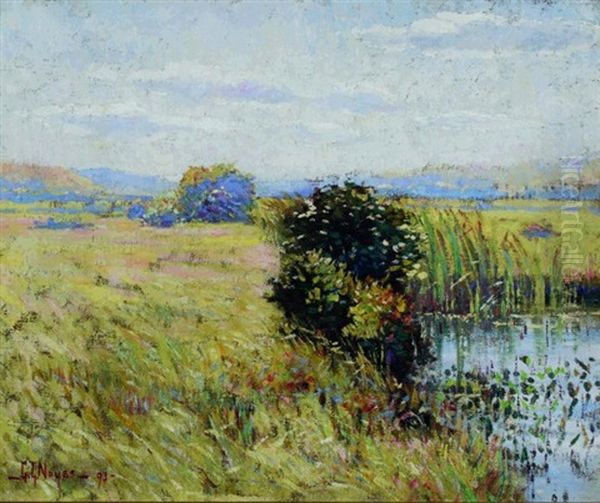 Marshes Oil Painting by George L. Noyes