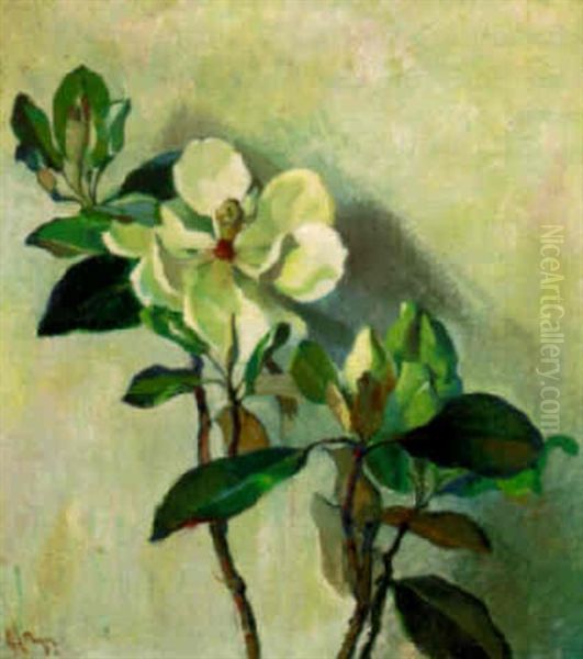 Flowering Magnolias Oil Painting by George L. Noyes