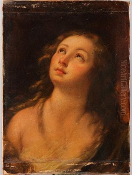 Jeune Fille Les Yeux Tournes Vers Le Ciel Oil Painting by Carlo Francesco Nuvolone