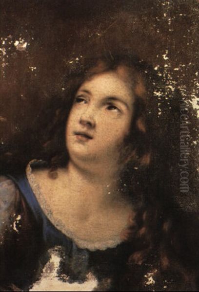 The Penitent Magdalen Oil Painting by Carlo Francesco Nuvolone