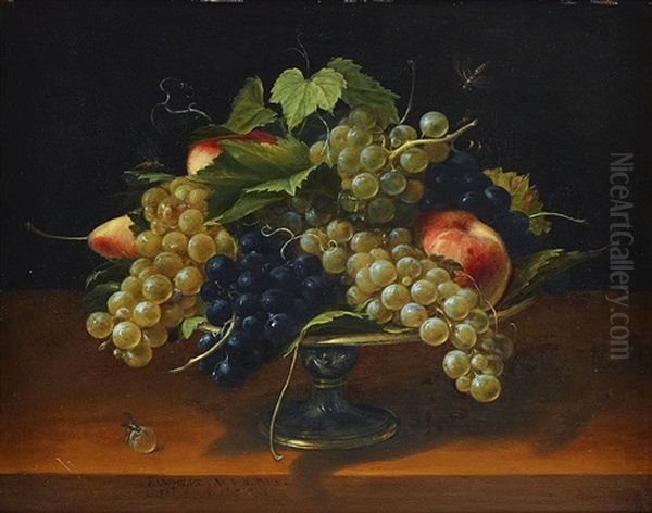 Stilleben Med Vindruvor, Persikor Och Paron Oil Painting by Panfilo Nuvolone