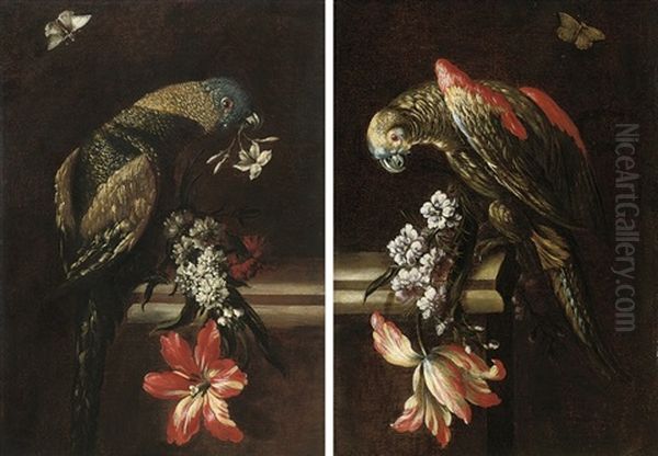 A Parrot With Blue, Green And Gold Plumage, Perched On A Stone Ledge (+ A Parrot; Pair) Oil Painting by Mario Nuzzi