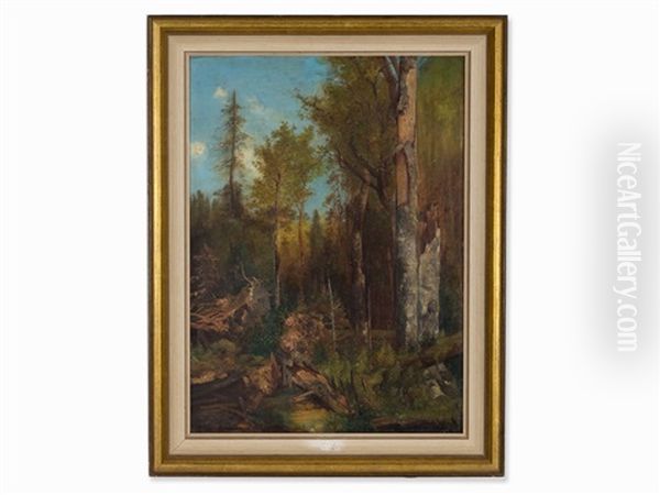 Forest Of The House Of Schwarzenberg Oil Painting by Adolf Obermuellner