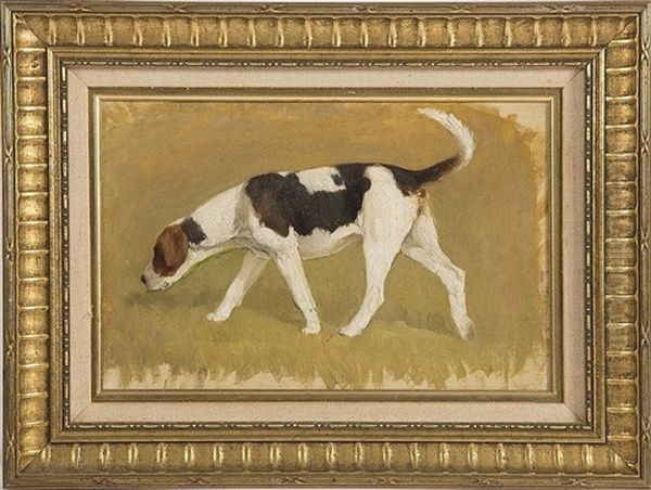 A Study Of A Hound Oil Painting by Dermod O'Brien