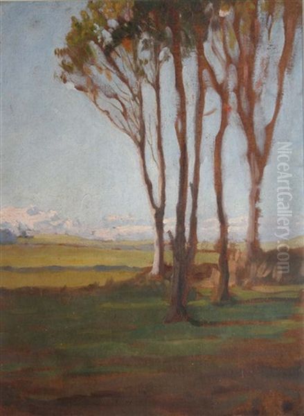 Trees In A Winter Landscape Oil Painting by Dermod O'Brien