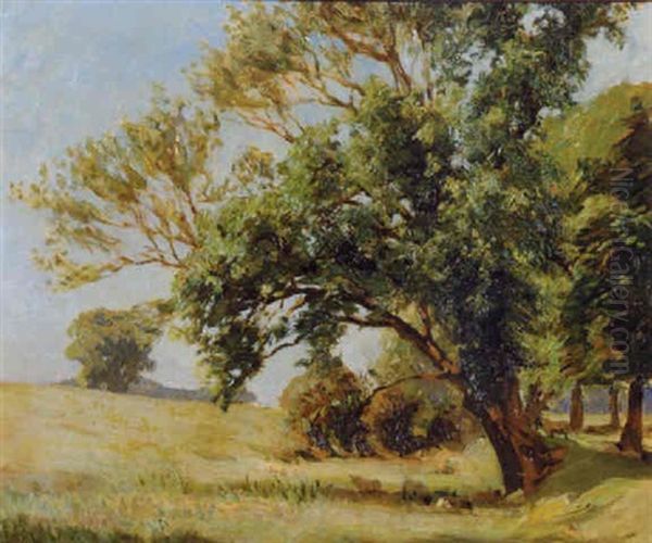 Rathgonan, Sheep Grazing Under Trees Oil Painting by Dermod O'Brien