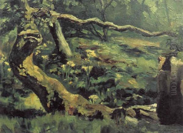 A Wooded Landscape Oil Painting by Dermod O'Brien