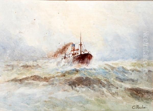 Study Of A Steamship In Heavy Seas Oil Painting by C. Blache