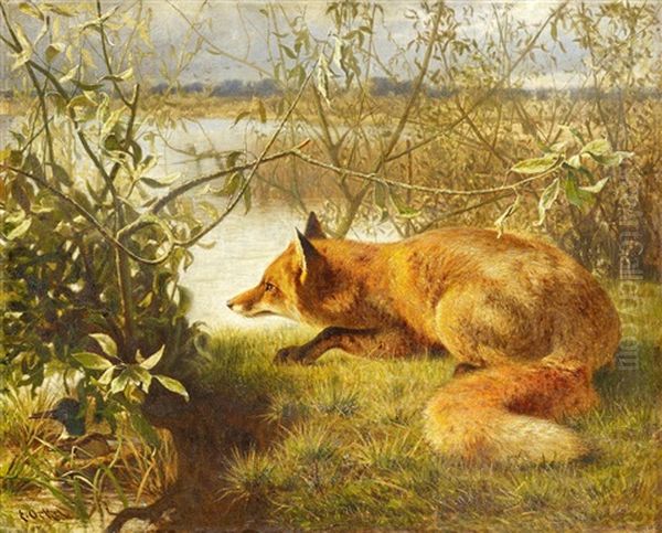 Fuchs Auf Der Lauer Oil Painting by Eduard Ockel