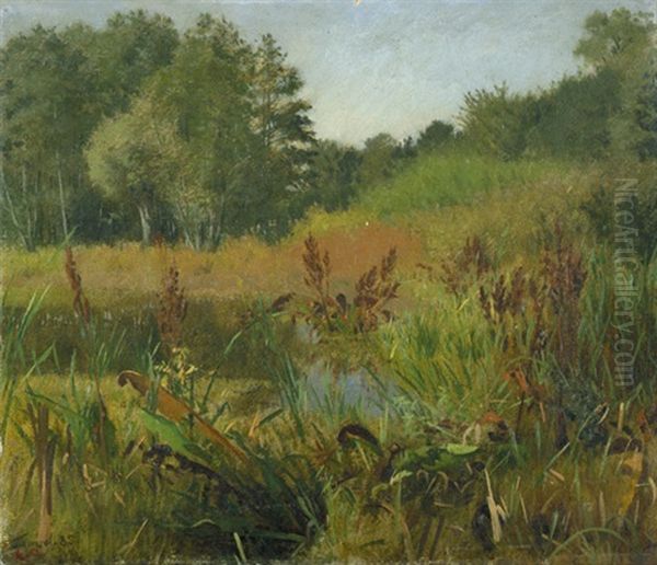 Sommerliche Landschaft Bei Kremmen by Eduard Ockel