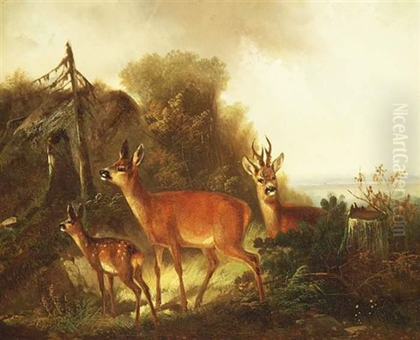 Rotwild Auf Waldlichtung Oil Painting by Carl Friedrich Ockert