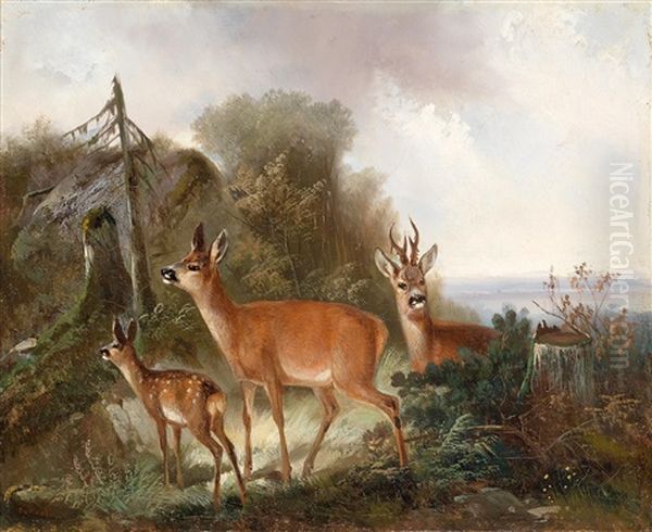 Red Deer In A Woodland Clearing Oil Painting by Carl Friedrich Ockert