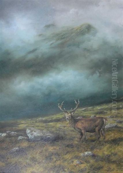 A Single Stag With A Peak Rising Above The Mist Oil Painting by Arthur John Black