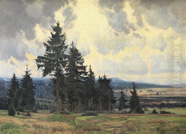 Hochmoor Im Isergebirge (gory Izerskie) Oil Painting by Karl Oenike