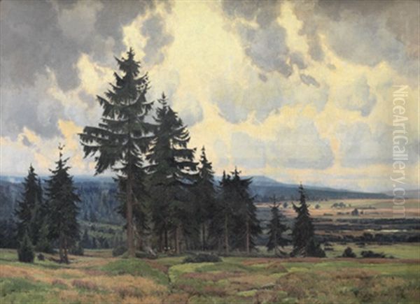 Hochmoor Im Isergebirge Oil Painting by Karl Oenike