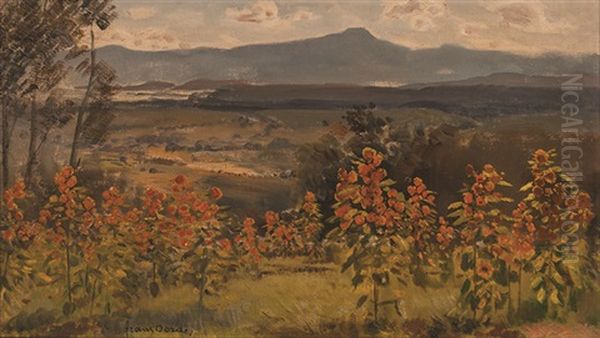 Landscape With Sunflowers Oil Painting by Frans David Oerder