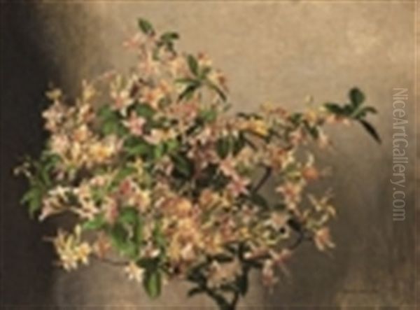 Azalea Nollis Oil Painting by Frans David Oerder