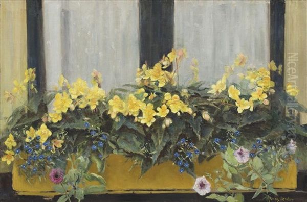 Flowers In A Window Box: Yellow Begonias, Forget-me-nots And Petunias Oil Painting by Frans David Oerder