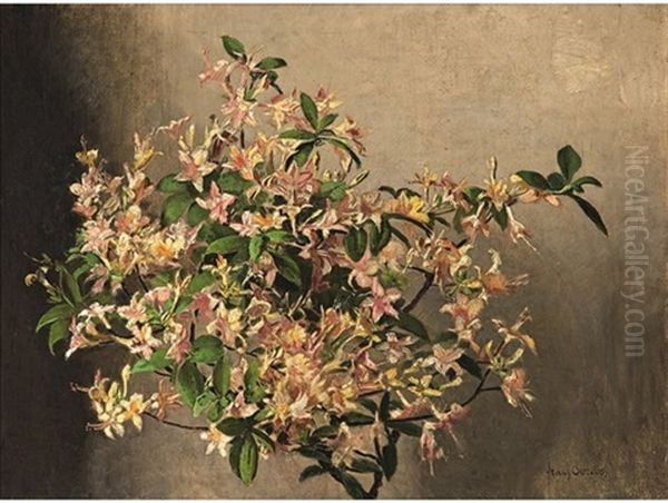 Azalea Nollis Oil Painting by Frans David Oerder