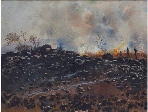 Veld Fire Oil Painting by Frans David Oerder