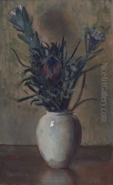 Still Life With Proteas Oil Painting by Frans David Oerder