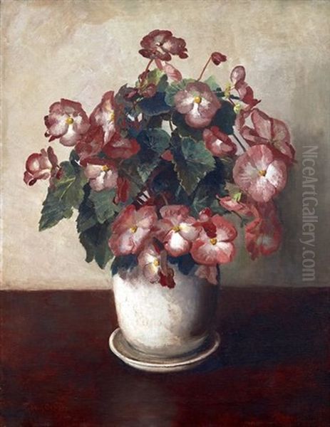 Still Life With Begonias Oil Painting by Frans David Oerder