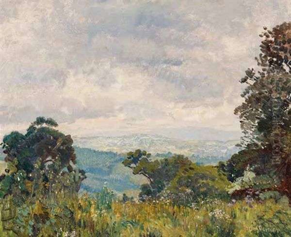 Looking Across George's Valley Oil Painting by Frans David Oerder