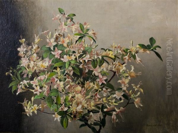 Azalea Nollis Oil Painting by Frans David Oerder