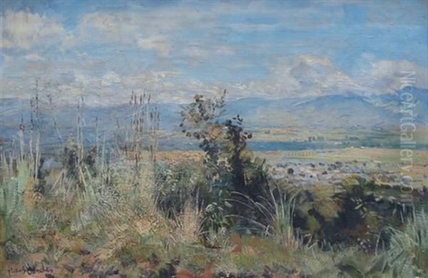 Landscape Near Tzaneen Oil Painting by Frans David Oerder