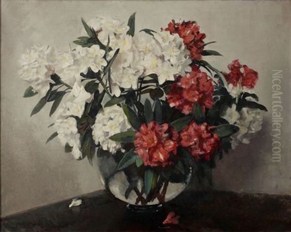 Rhododendrons Oil Painting by Frans David Oerder