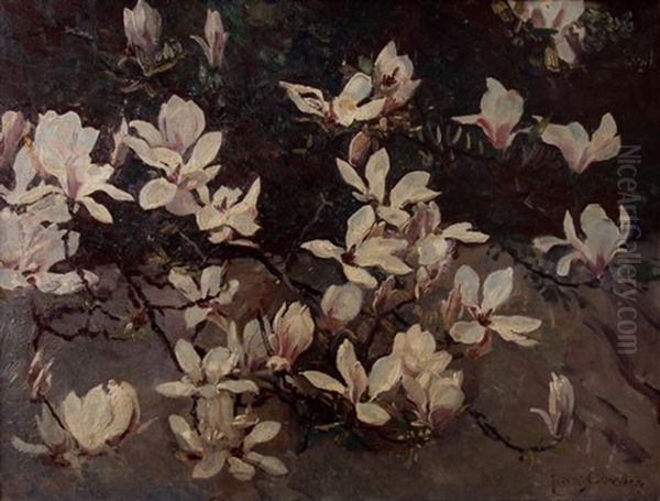 Magnolias Oil Painting by Frans David Oerder