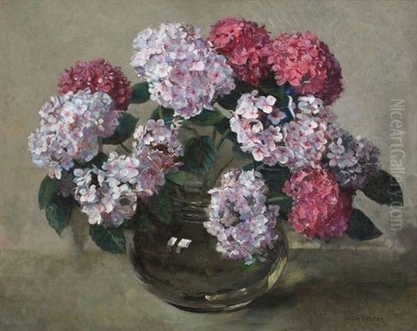 Hydrangeas In A Bowl Oil Painting by Frans David Oerder