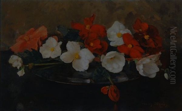 Still Life With Anemones Oil Painting by Frans David Oerder