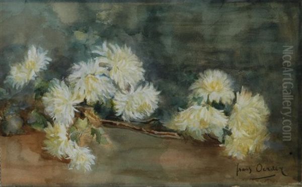 Chrysanthemums Oil Painting by Frans David Oerder